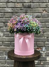 Цветочная композиция из Гипсофила и Розы в шляпной коробке #REPLACE_PRED# Чусовом