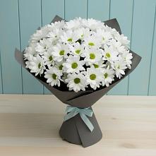Букет цветов из:  Хризантемы #REPLACE_PRED# Чусовом