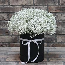 Цветочная композиция из Гипсофила в шляпной коробке #REPLACE_PRED# Чусовом